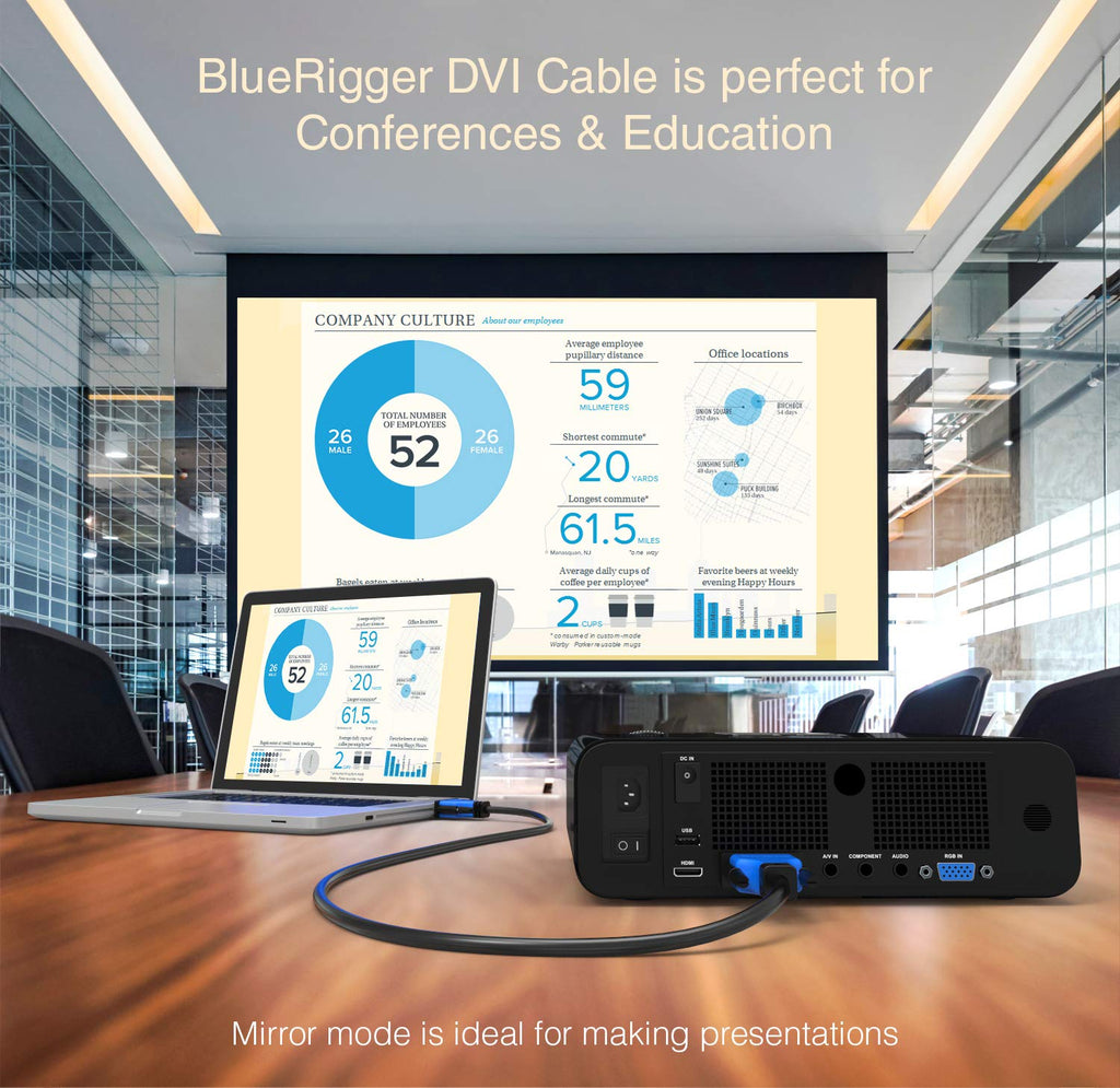 DVI to DVI Cable 10FT (High Resolution 2560X1600, DVI-D Cable 24+1 Dual Link, Gold Plated) – DVI Cables for Gaming, HDTV Monitors, Projectors, Graphics/Video Cards
