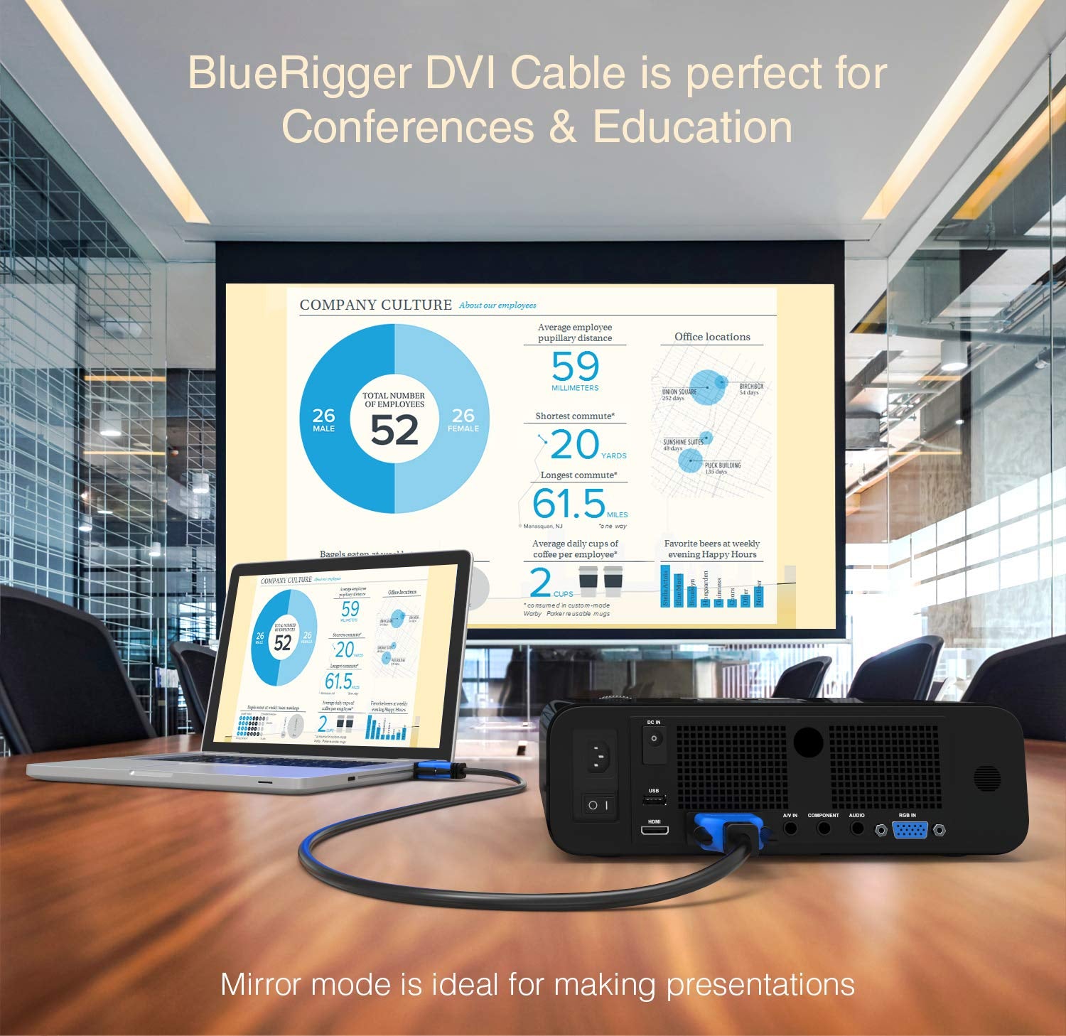 DVI to DVI Cable 10FT (High Resolution 2560X1600, DVI-D Cable 24+1 Dual Link, Gold Plated) – DVI Cables for Gaming, HDTV Monitors, Projectors, Graphics/Video Cards