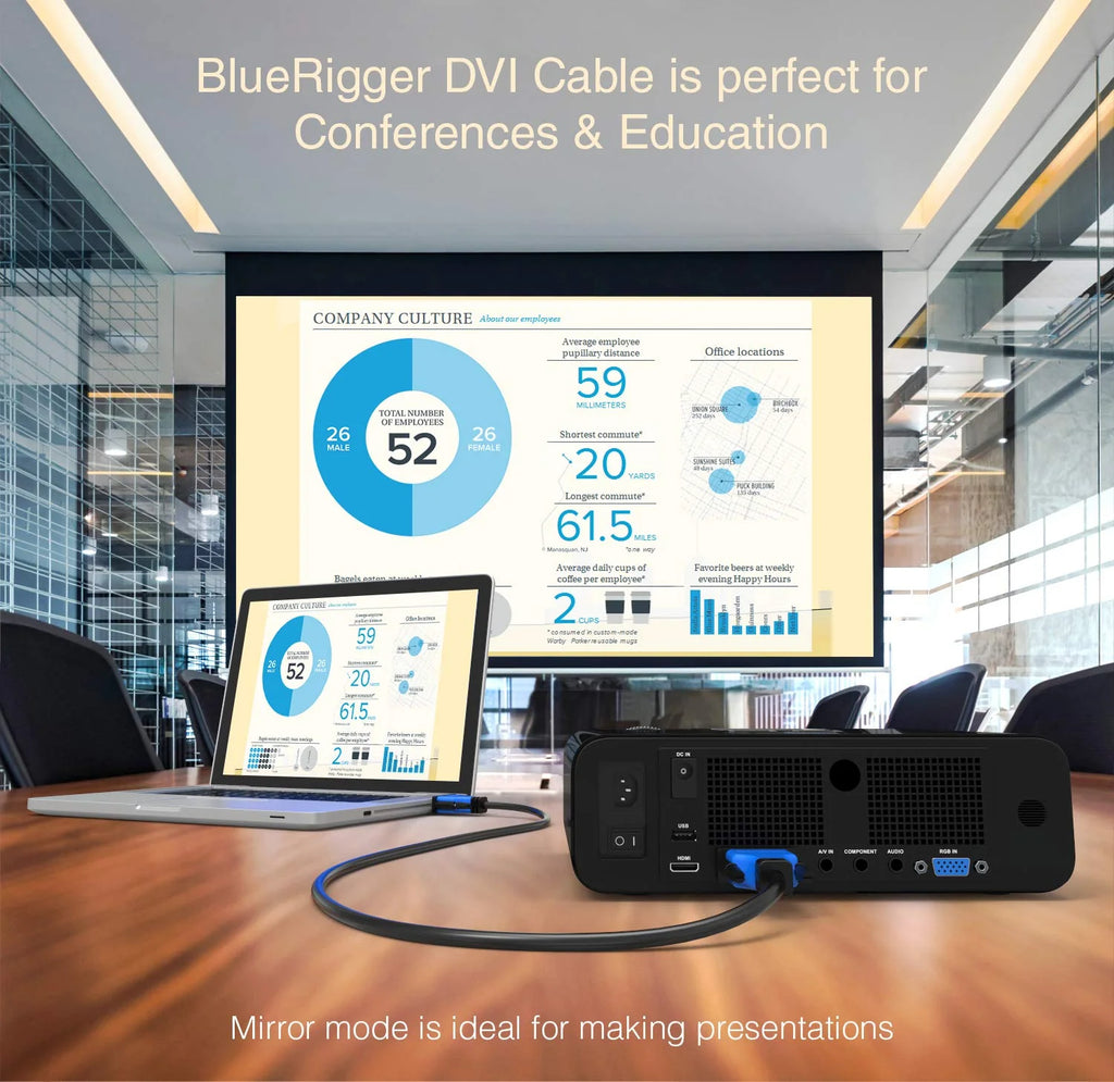 DVI to DVI Cable 10FT (High Resolution 2560X1600, DVI-D Cable 24+1 Dual Link, Gold Plated) – DVI Cables for Gaming, HDTV Monitors, Projectors, Graphics/Video Cards